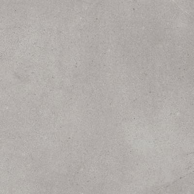 Arctic Grey